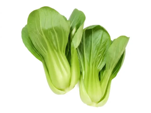 Zwei Köpfe frischer Shanghai Pak Choi mit leuchtend grünen Blättern und hellen Stielen, freigestellt vor weißem Hintergrund.