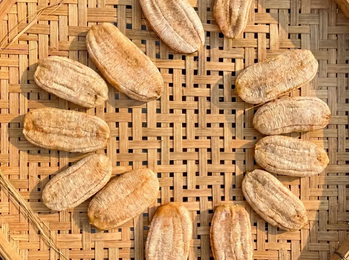 Halbfreitge sonnengetrocknete Bananen: Die bereits flachgedrückten, hellbraunen Früchte liegen kreisförmig auf einem Trockengestell aus Bambus in der Sonne.